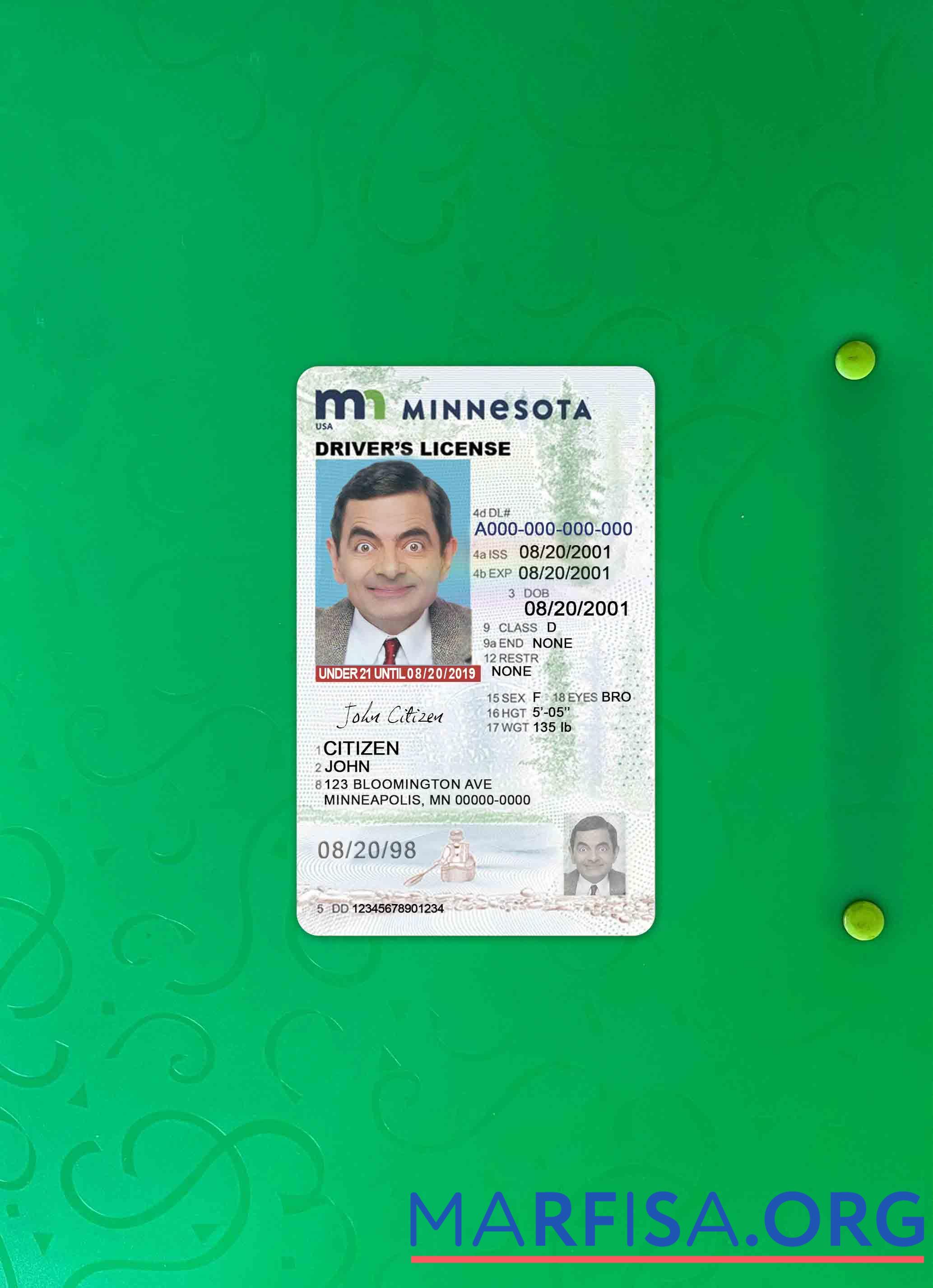 Realistic USA Minnesota driving license under 21 photolook download for verification
